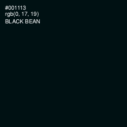 #001113 - Black Bean Color Image